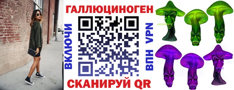 hydra   Суджа  Галлюциногенные грибы Cubensis 